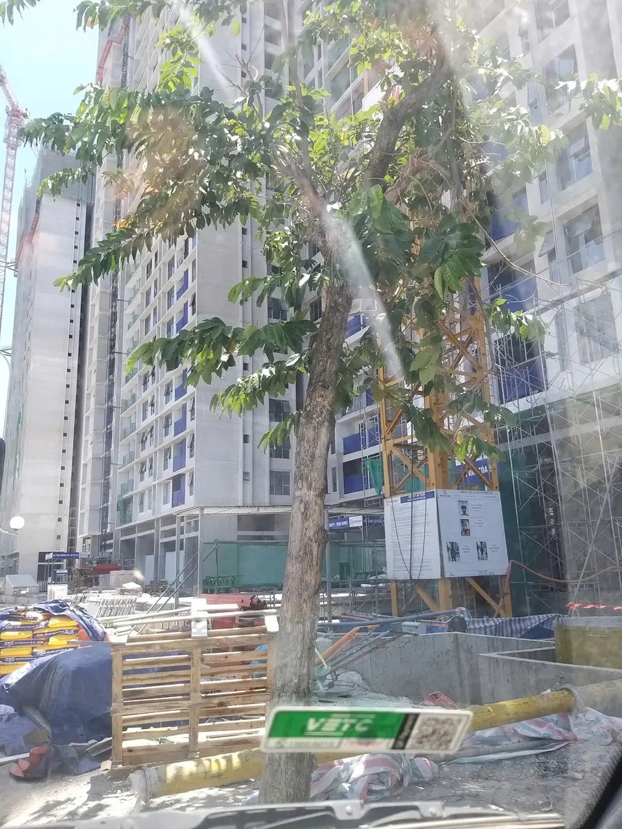 Tiến độ xây dựng thô sử dụng cục kê thép sàn tại dự án Lumi Hà Nội