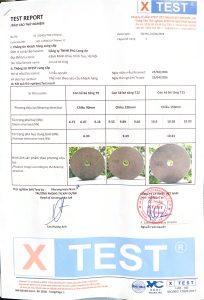 Test con kê cọc khoan nhồi Thái Long D90 D120 D150 tại XTEST